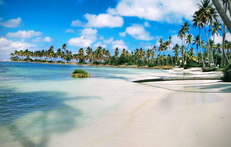 Доминикана. Океан, песок, китики. Февраль 2020.